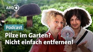 Pilze im Garten – Freund oder Feind? | Podcast | ARD Garten