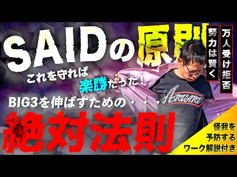 【筋トレ】SAIDの原則を利用してBIG3成績を向上させよ！