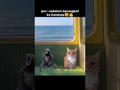 😹😹#catmemes #funny #jokes #animasulucu #cat #kucinglucu #imut #memengakakkocak #lawak #catlovers