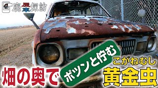 【廃屋 | 廃車探訪#06】畑の奥で《ポツンと佇む》黄金虫｜三菱 ミニカF4 (A103A)