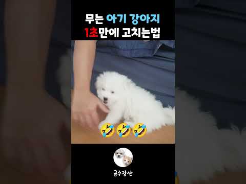 아픈척 하랬는데...🥲