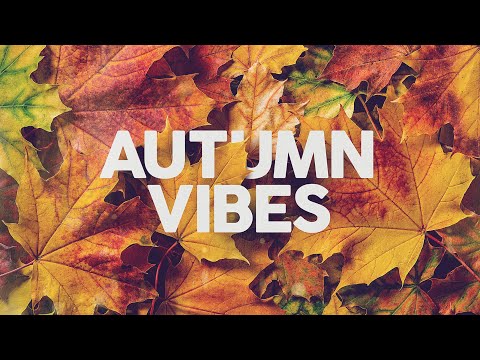 AUTUMN VIBES - Cool Music