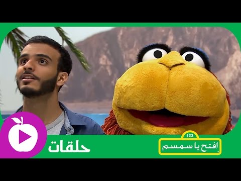 افتح يا سمسم -  عصفور صغير - الحلقة 6