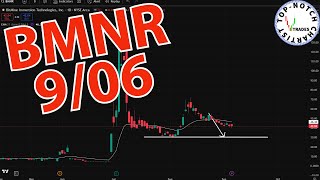 📉 BitMine Immersion (BMNR): Calm Before Another Drop?
