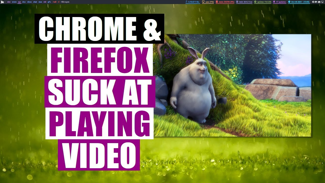 Video Playback In Linux Web Browsers SUCKS! DistroTube