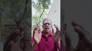 எந்த உணவில் வைட்டமின் ஈ உள்ளது?