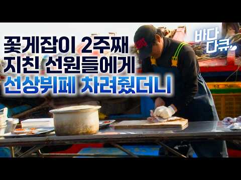 "육지 사람들은 이 맛 몰라" 육지 떠난 지 2주째. 안되겠다 싶어 지친 선원들에게 선상뷔페 차려줬더니 / 40년 꽃게잡이 선장에게 26살 해군 출신 신참이 들어왔다 / #바다다큐