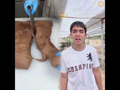 #illustration #tattoo #art #pov #procreate #drawing #whydidntmyexcomeback #digitalart