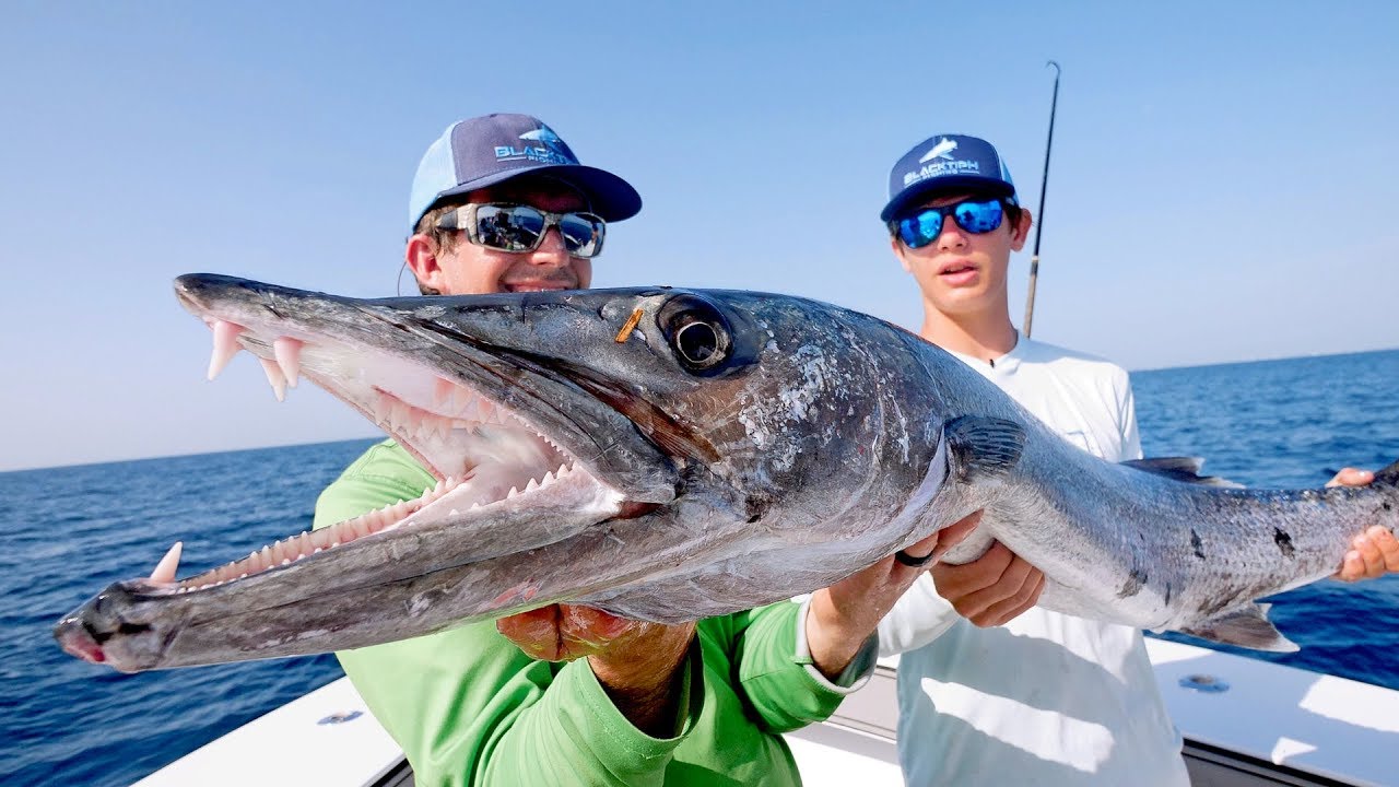 BIGGEST Kingfish I've EVER Seen while Barracuda Fishing