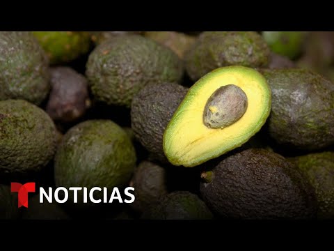 Unas 110,000 toneladas de aguacate mexicano se consumirán en el Super Bowl LIX | Noticias Telemundo