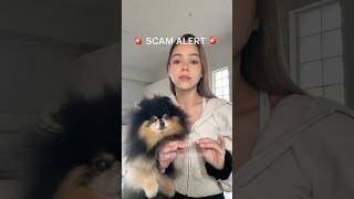 🚨 SCAM ALERT 🚨 we are not involved with this. MochaPom scam