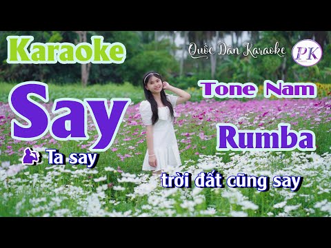 Karaoke Say St: Lam Phương | Rumba | Tone Nam (Em,Tp:86) | Quốc Dân Karaoke