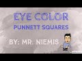 Exploring Eye Color Genetics with Punnett Squares