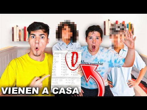 Estas son la Notas del Colegio del CLAN DE MI HERMANO PEQUEÑO...