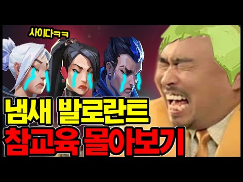 냄새 발로란트 참교육 사이다 영상 모음집 ㅋㅋㅋㅋㅋㅋㅋ
