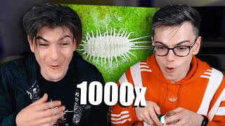 NU O SA-TI VINA SA CREZI CE AM GASIT *la microscop*
