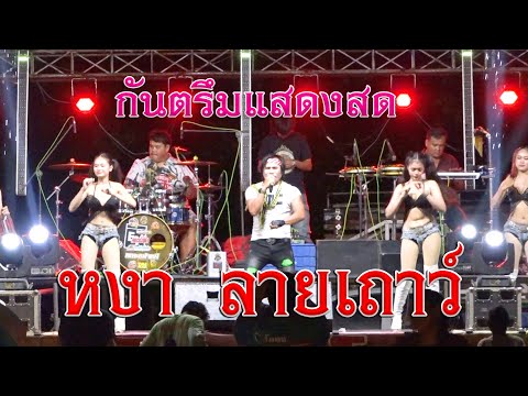 กันตรึมแสดงสดหงา ลายเถาว์ #ไพโรจน์ซาวด์ (วัดสุการาม ต.ท่าม่วง อ.สตึก)