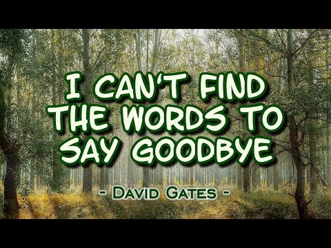 I Can’t Find The Words to Say Goodbye – David Gates (KARAOKE VERSION)