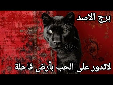 برج الاسد ♌ الاسبوع الثاني يوليو يحبك بشروط