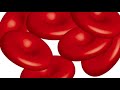 Exploring Osmosis with Edpuzzle