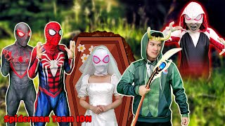 Tim Spider-Man Menyelamatkan Gwen dari Loki - Spiderman Team IDN