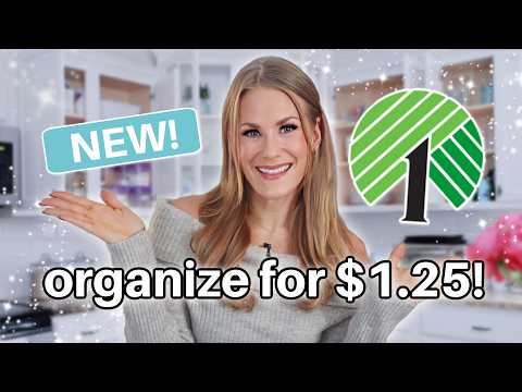 BEST Dollar Tree Organization for EVERY ROOM in 2025! 💙 ALL my easiest viral secrets!