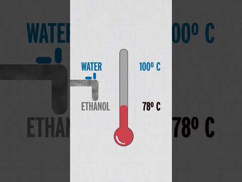 Bought some everclear for purely scientific purposes