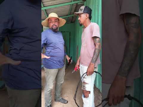 Saracura deu uma surra de fio no lagartixa #comedia
