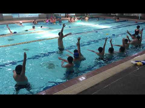 六丙游泳趣IMG 4971 - YouTube
