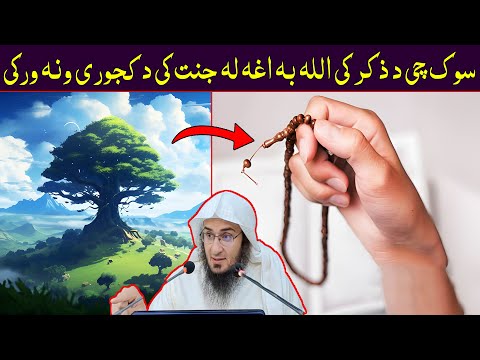 Sheikh Abo Hassan New Pashto Bayan - سوک چی د ذکر کی اللہ بہ اغہ لہ جنت کی د کجوری ونہ ورکی