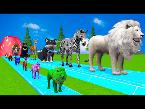 Paint Animals Duck,Tiger,Cow,Lion,Pig,Bear,Elephant,Dinosaur Fountain Crossing Animal Game Ky