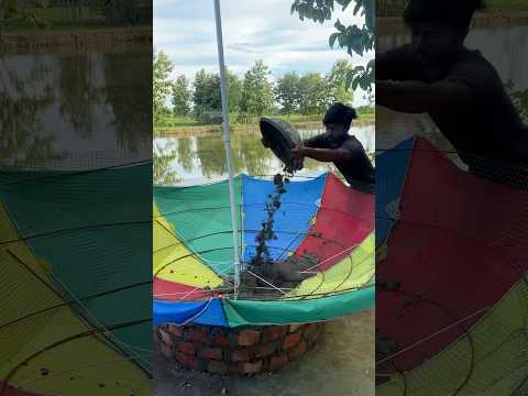 Big water fountain ⛲️ using umbrella #shorts #ytshorts #waterfountain #cementcraft #deepscraft #DIY