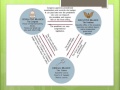 U.S. Government Structure and Principles