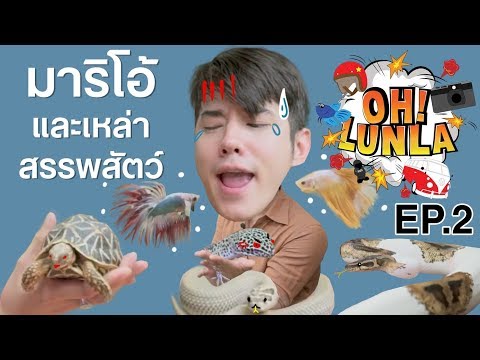 โอ้ลั้นลา OH Lunla EP.2 มาริโอ้ และเหล่าสรรพสัตว์!