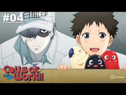 Cells at Work!! - Episode 04 (S2E04) [English Sub]