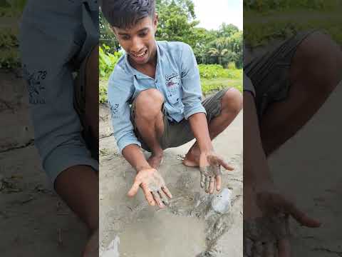 Making natural soap from plant flowers  #bushcraft #outdoors #camping #survival #lifehacks #bamboo