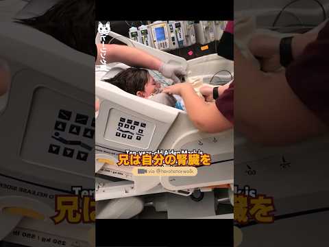 妹に命を与えて去ったお兄さん | 泣ける話
