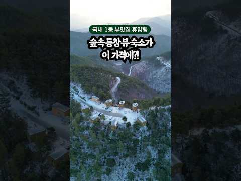 이 가격에 이런 뷰가?! 대한민국 1등 휴양림 #국내여행지추천