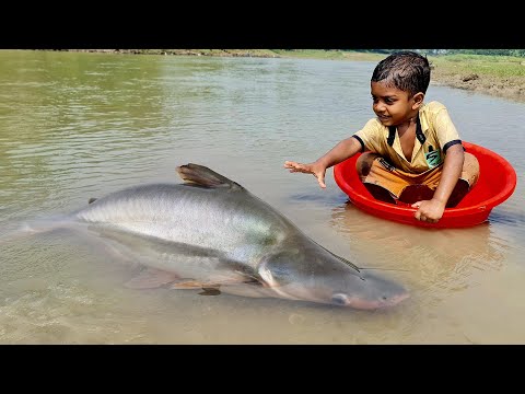 Amazing Boy Catching Fish By Hand | Traditional Little Catching Big Fish By Hand in Mud Water