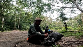 ເລາະປ່າຫາໝາກແໜ່ງ//เลาะป่าหาหมากเเหน่ง Dong Una
