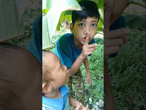 lagi ngumpet malah main peteng layangan koang #trendingshorts #layanganpeteng #layanglayang