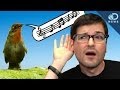 Origins and Evolution of Music