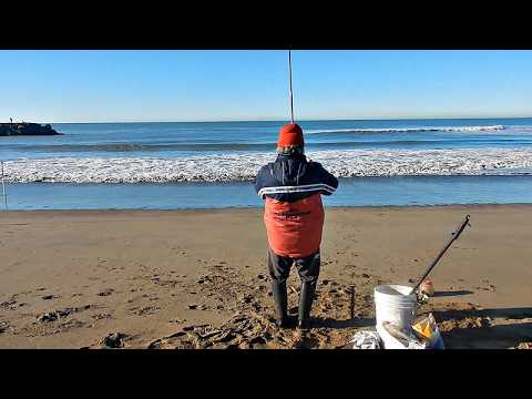 PESCA DE PLAYA Y ESTRENO DE CAÑA CON UNA EXQUISITA CAPTURA