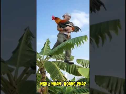 Đi như vậy cũng được luôn hả