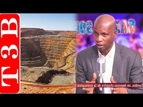 Le Sénégal peut-il récupérer certaines mines d'or : Les explications de Clédor Sène