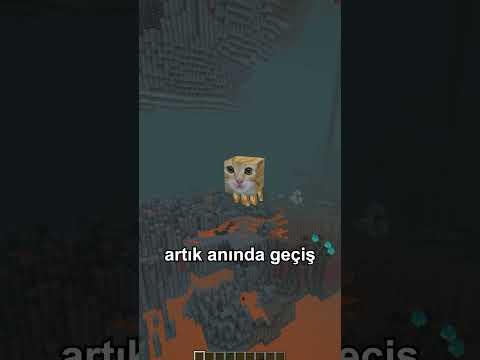 AYT Portal Sorusu ⛏💎
