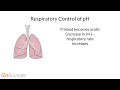 Bicarbonate Buffer System Concepts