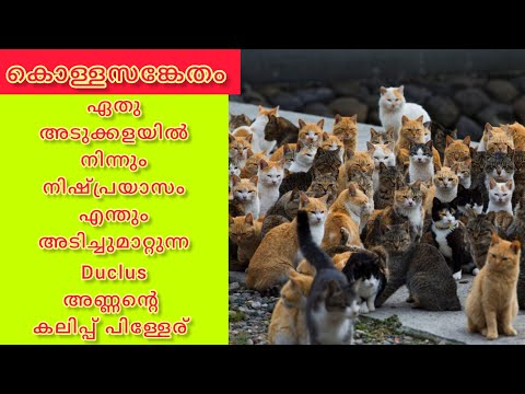 കൊള്ളസങ്കേതം 😁 | Malayalam comedy fun dub #comedyvideo #funnyvideo