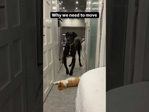 Hopefully this explains why we have to move out of the RV.