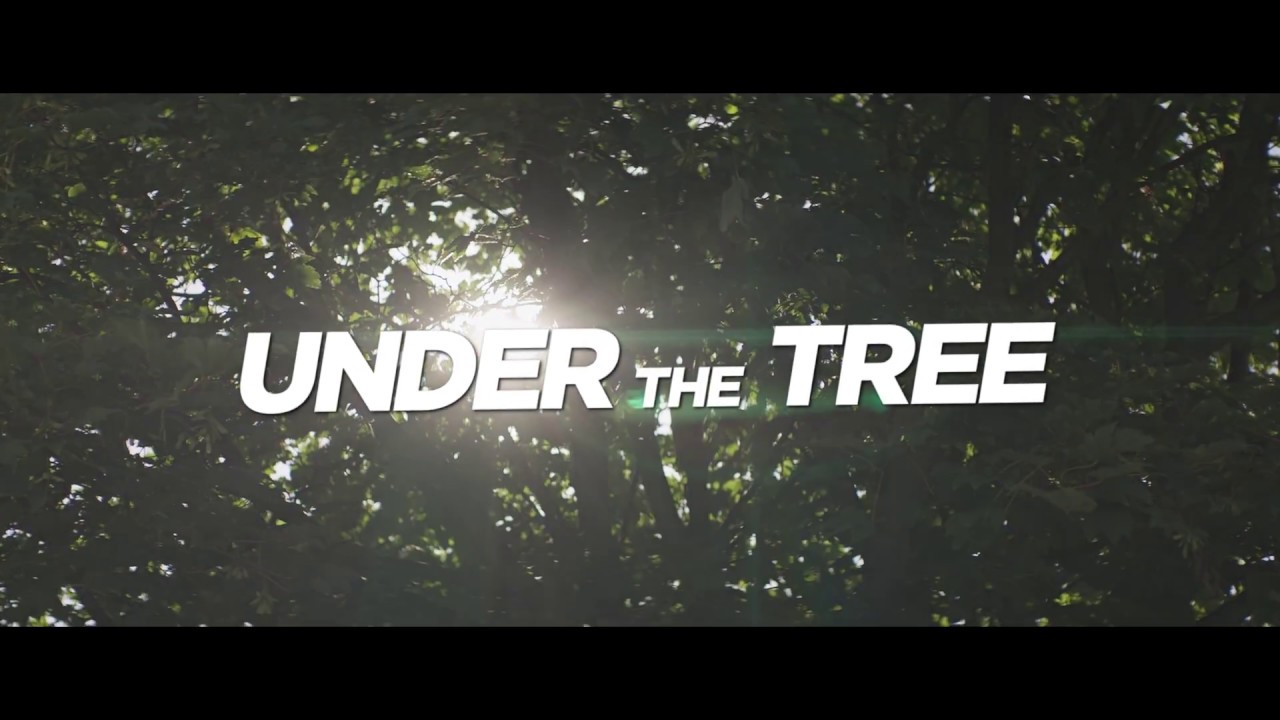 Under the Tree Miniature du trailer